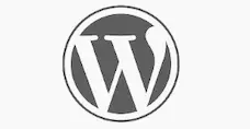 cms wordpress services creation de site radiate 601